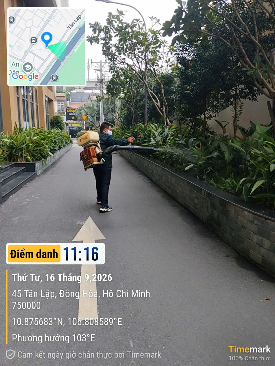 Phun thuốc khu cây xanh tại The EastGate — ảnh 5/16